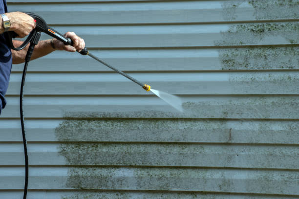 Best Deck Cleaning Services  in Roosevelt, NJ