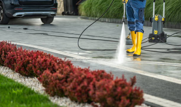 Best Roof Power Washing Services  in Roosevelt, NJ