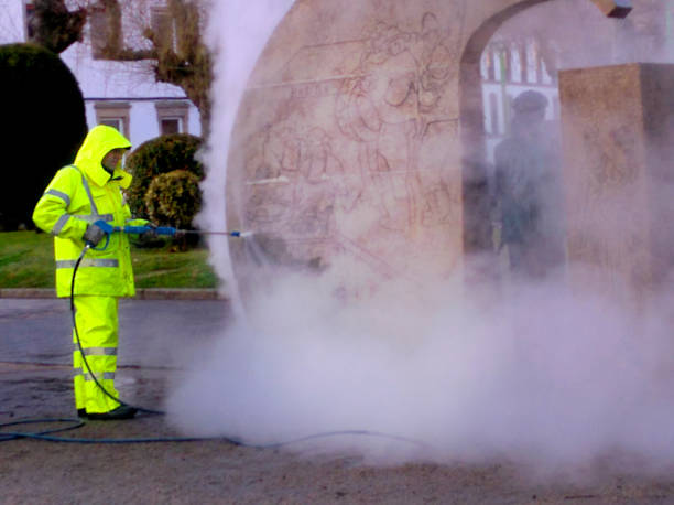 Best Exterior Home Cleaning  in Roosevelt, NJ